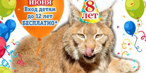 1 июня парк 40-летия ВЛКСМ приглашает на зооквест и шоу мыльных пузырей