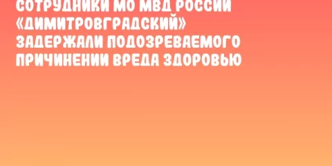 Сотрудники МО МВД России «Димитровградский» задержали подозреваемого причинении вреда здоровью