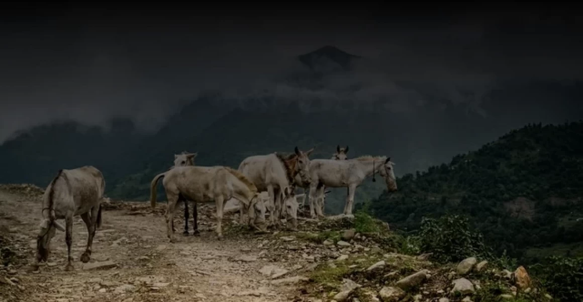 В Ульяновском государственном педагогическом университете имени И.Н. Ульянова открылся Центр военно-патриотического воспитания В Ульяновском государственном педагогическом университете имени И.Н. Ульянова открылся Центр военно-патриотического воспитания