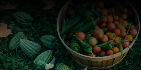 Новоспасские полицейские задержали подозреваемого в угрозе убийством