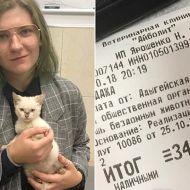 Студентка в России отдала 340 000 за котенка с улицы