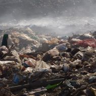 «ЖКХ Сервис» сбрасывал опасные отходы в сточные воды