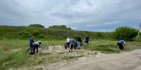 Грабли в руки — и вперёд! Ульяновцев зовут на субботник у Чёрного озера