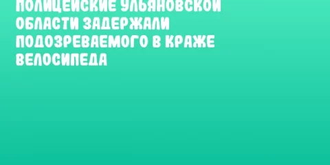 Полицейские Ульяновской области задержали подозреваемого в краже велосипеда