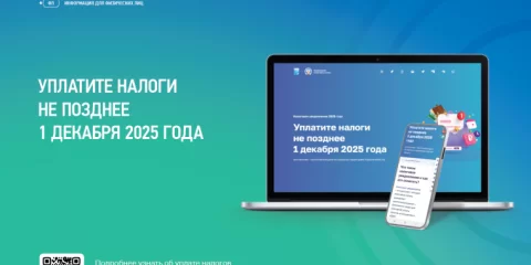 Ульяновцам напоминают о необходимости оплатить имущественные налоги не позднее 1 декабря 