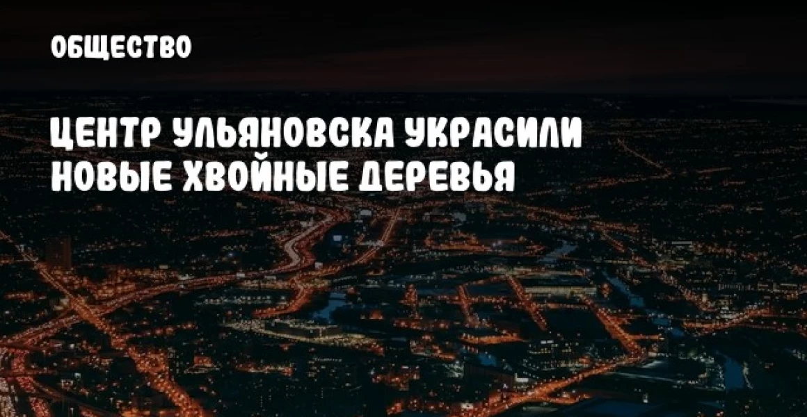 Центр Ульяновска украсили новые хвойные деревья Центр Ульяновска украсили новые хвойные деревья