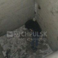 Тело 15-летней девушки найдено на заброшенной стройке в Ульяновске