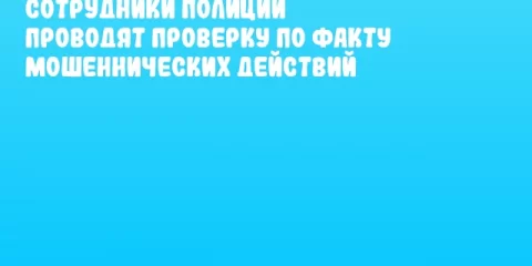 Сотрудники полиции проводят проверку по факту мошеннических действий