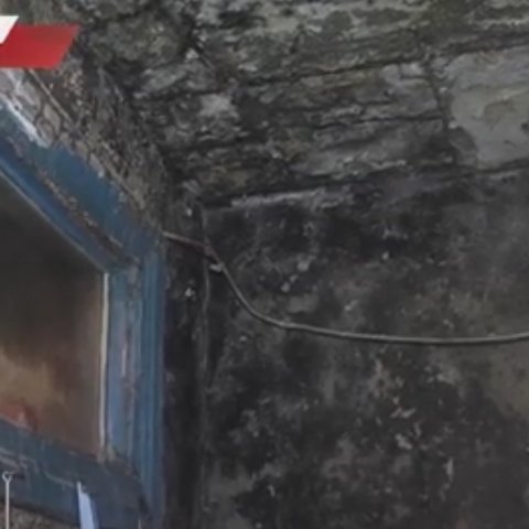 Прогнил до основания. Дом на Рябикова, 7: плесень, проливы, гнилые трубы