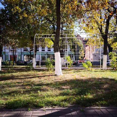 В Ульяновске высадили более 1000 деревьев