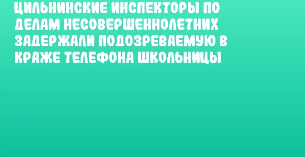 Цильнинские инспекторы по делам несовершеннолетних задержали подозреваемую в краже телефона школьницы Цильнинские инспекторы по делам несовершеннолетних задержали подозреваемую в краже телефона школьницы