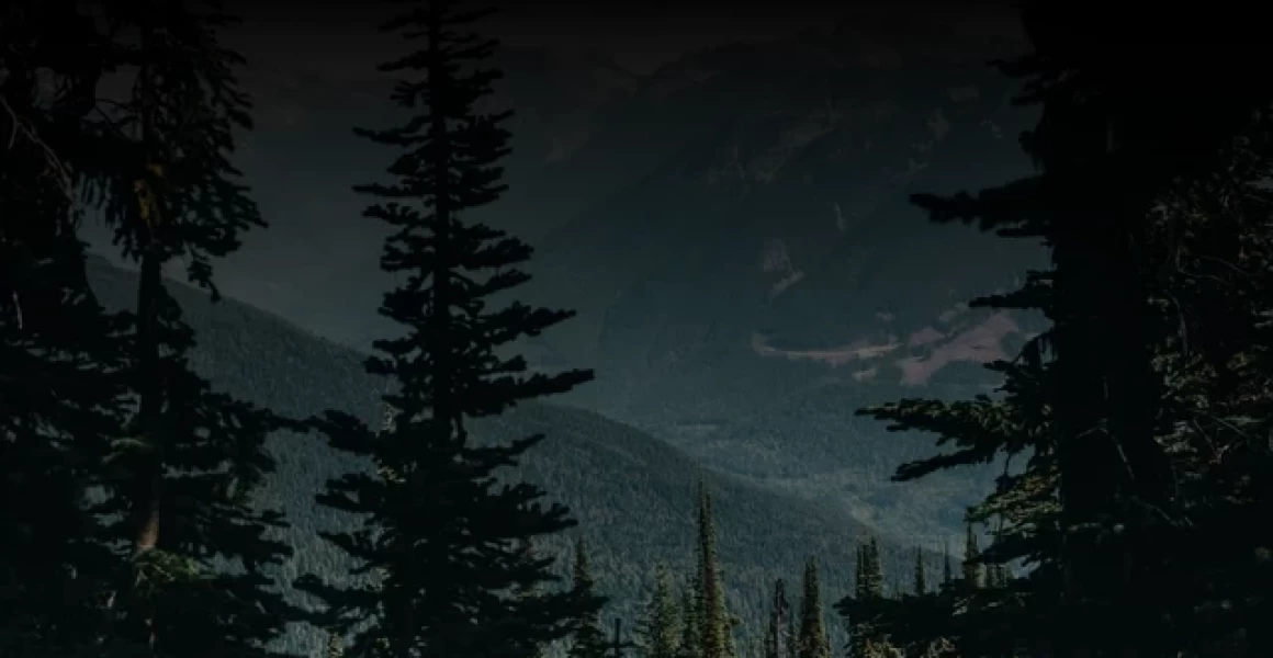 В Ульяновске усилена мойка дорог и прочистка ливнёвок