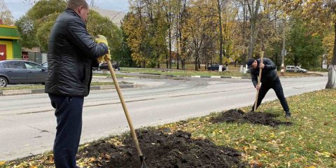 В Ульяновске высадили более 45 тысяч тюльпанов