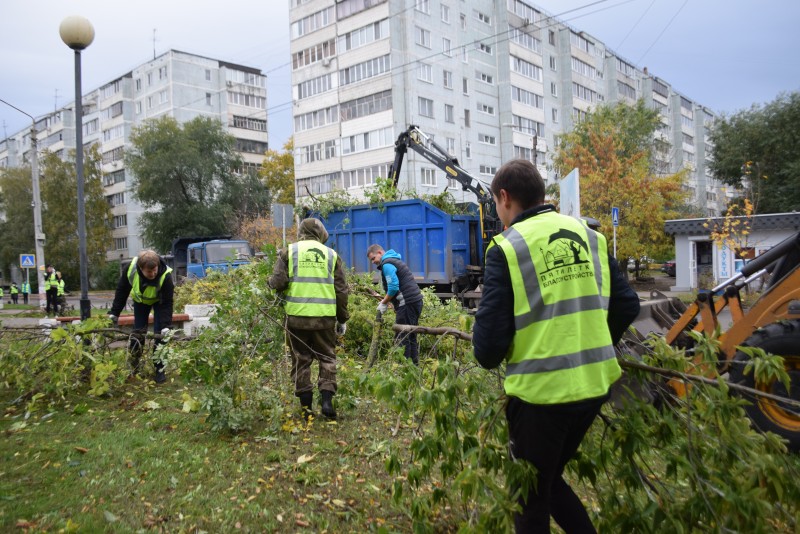 Порядка четырёх тысяч ульяновцев вышли на субботник