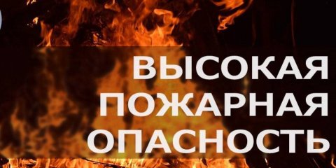 В Ульяновской области объявлена пожарная опасность четвертого класса