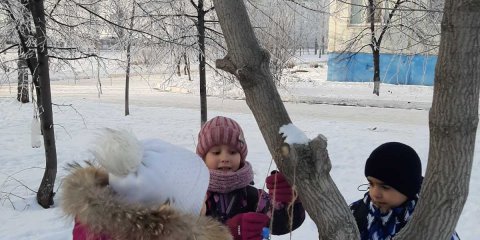 В Ульяновске проходит экологическая акция &laquo;Помоги птицам&raquo;