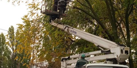 За минувшую неделю в Ульяновске убрали 76 опасных деревьев