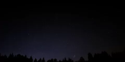 В СНТ Ульяновска обустроят подъездные пути и повысят надёжность электроснабжения