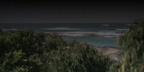 С 15 апреля в Ульяновске стартует садоводческий сезон