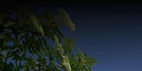 Ульяновская область приняла участие в создании новой композиции ко Дню народного единства проекта #МУЗЫКАВМЕСТЕ Ульяновская область приняла участие в создании новой композиции ко Дню народного единства проекта #МУЗЫКАВМЕСТЕ