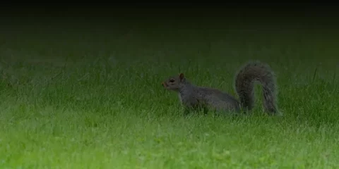 В Майнском районе газифицировано село Старые Маклауши В Майнском районе газифицировано село Старые Маклауши