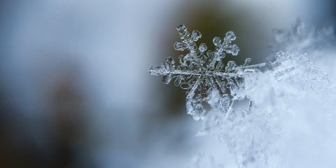 Отмена занятий в школах Ульяновска из-за морозов
