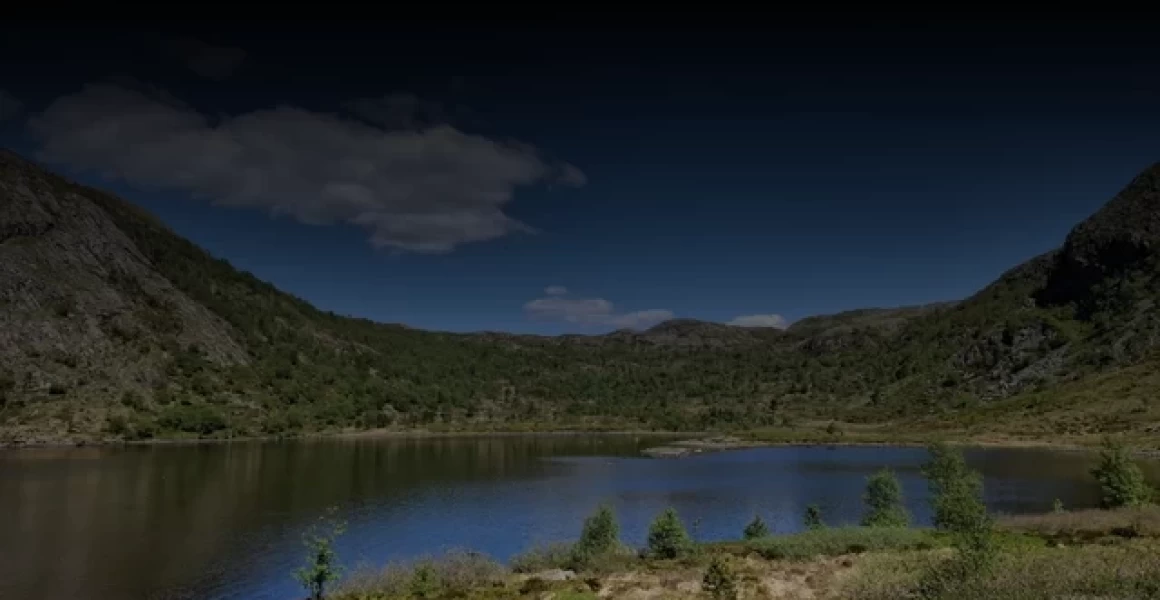 В Ульяновске наградили победителей первого экологического конкурса «Экология в фокусе» В Ульяновске наградили победителей первого экологического конкурса «Экология в фокусе»