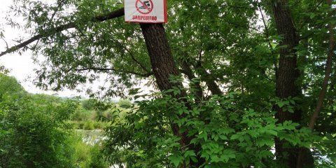 В Ульяновске будут штрафовать за купание в несанкционированных местах