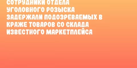 Сотрудники отдела уголовного розыска задержали подозреваемых в краже товаров со склада известного маркетплейса