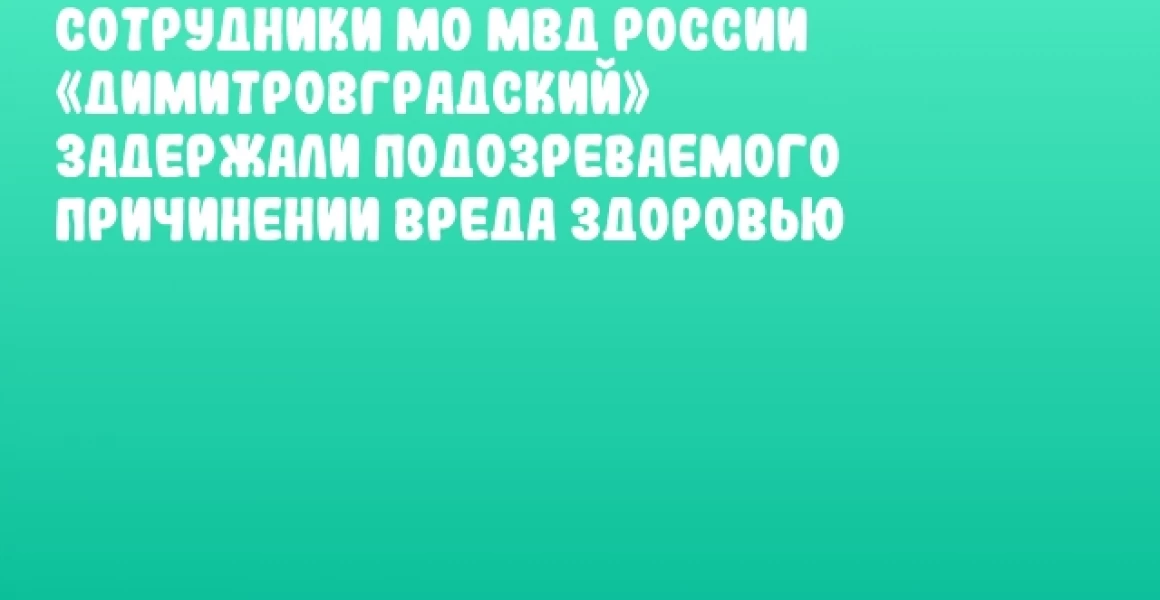 Сотрудники МО МВД России «Димитровградский» задержали подозреваемого причинении вреда здоровью