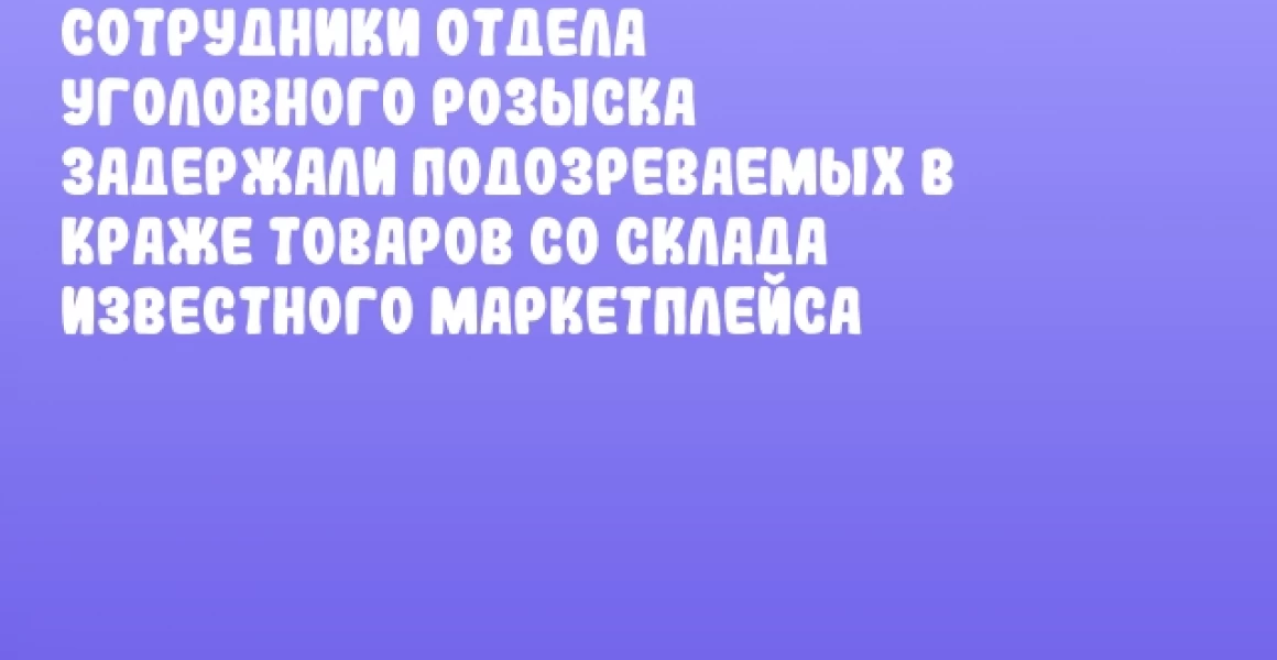 Сотрудники отдела уголовного розыска задержали подозреваемых в краже товаров со склада известного маркетплейса Сотрудники отдела уголовного розыска задержали подозреваемых в краже товаров со склада известного маркетплейса