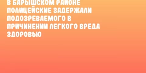 В Барышском районе полицейские задержали подозреваемого в причинении легкого вреда здоровью
