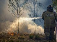 В Ульяновске ожидается высокая пожарная опасность