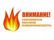 В ульяновских лесах сохраняется высокая пожарная опасность