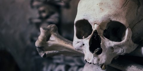 В Ульяновской области грибник нашел человеческие останки