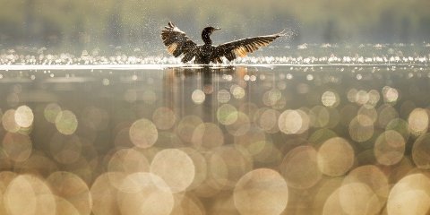 В 2022-23 гг. планируются работы по расчистке Свияги