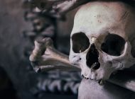 В Ульяновской области грибник нашел человеческие останки