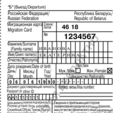 Миграционная карта в течении суток. Миграционная карта в течении суток.