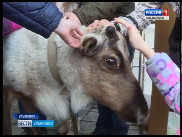 Новости Ульяновска: Выпуск программы "Вести-Ульяновск" - 29.03.17 - 21.45 официальные новости