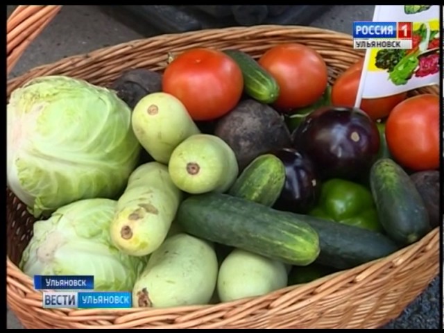 Новости Ульяновска: Выпуск программы "Вести-Ульяновск" - 31.07.17 - 21.45 официальные новости