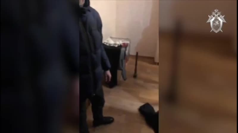 Задержание охранника педофила в школе Ульяновска