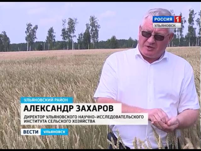 Новости Ульяновска: Выпуск программы "Вести-Ульяновск" - 30.07.16 - 08.40 официальные новости