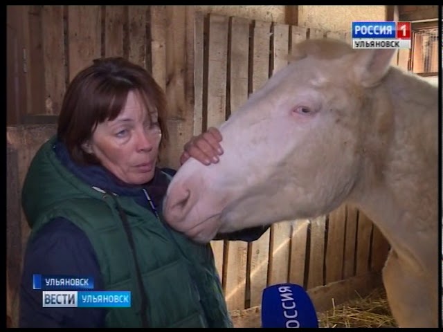 Новости Ульяновска: Выпуск программы "Вести-Ульяновск" - 22.03.18 - 21.45 официальные новости