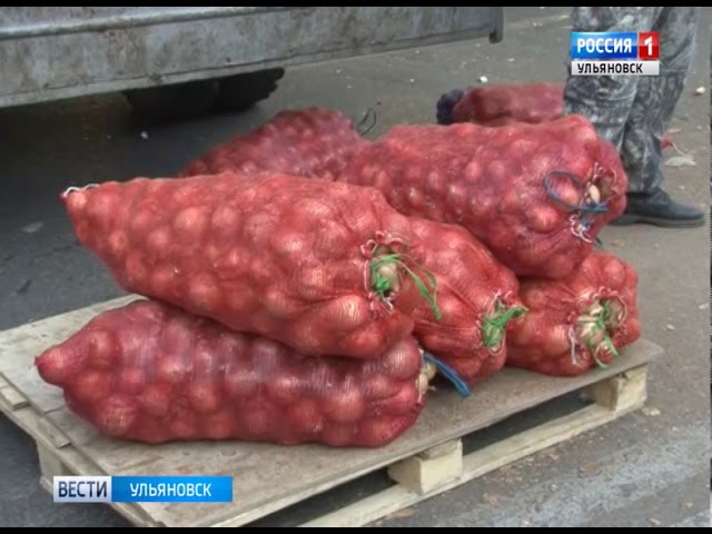 Новости Ульяновска: Выпуск программы "Вести-Ульяновск" - 23.09.17 - 09.00 официальные новости