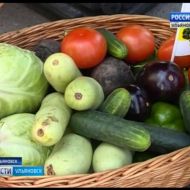 Новости Ульяновска: Выпуск программы "Вести-Ульяновск" - 31.07.17 - 21.45 официальные новости