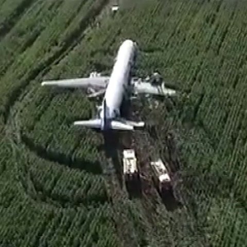 Экстренная посадка в Жуковском: пассажирский самолет приземлился прямо в поле.