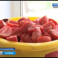 Новости Ульяновска: Выпуск программы "Вести-Ульяновск" - 30.06.18 официальные новости