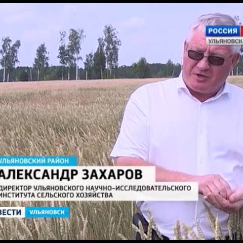 Новости Ульяновска: Выпуск программы "Вести-Ульяновск" - 30.07.16 - 08.40 официальные новости