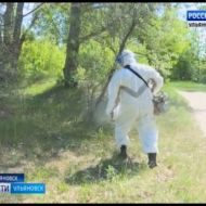 Новости Ульяновска: Экологический парк «Черное озеро» обработали от комаров, клещей и мух официальны