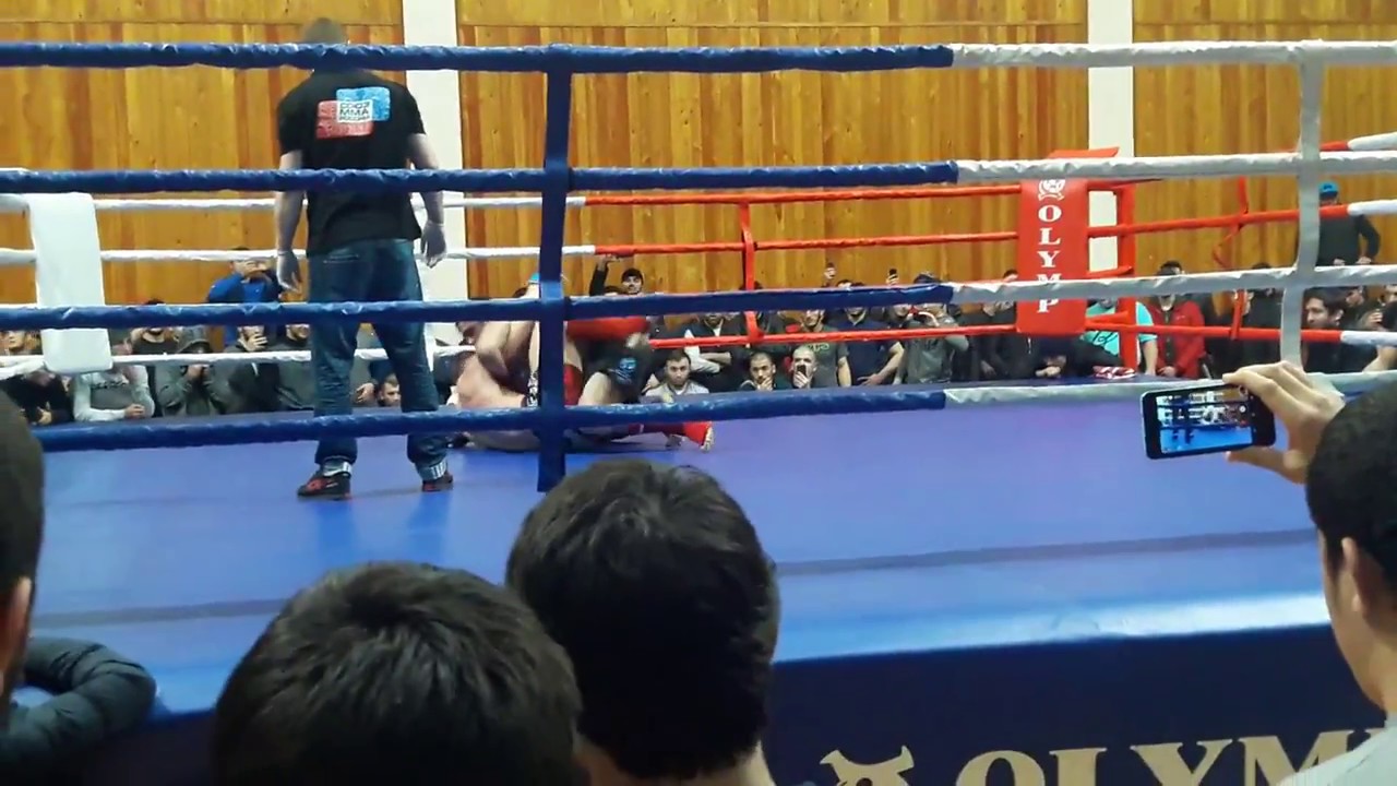 Массовая драка на чемпионате MMA в Дагестане